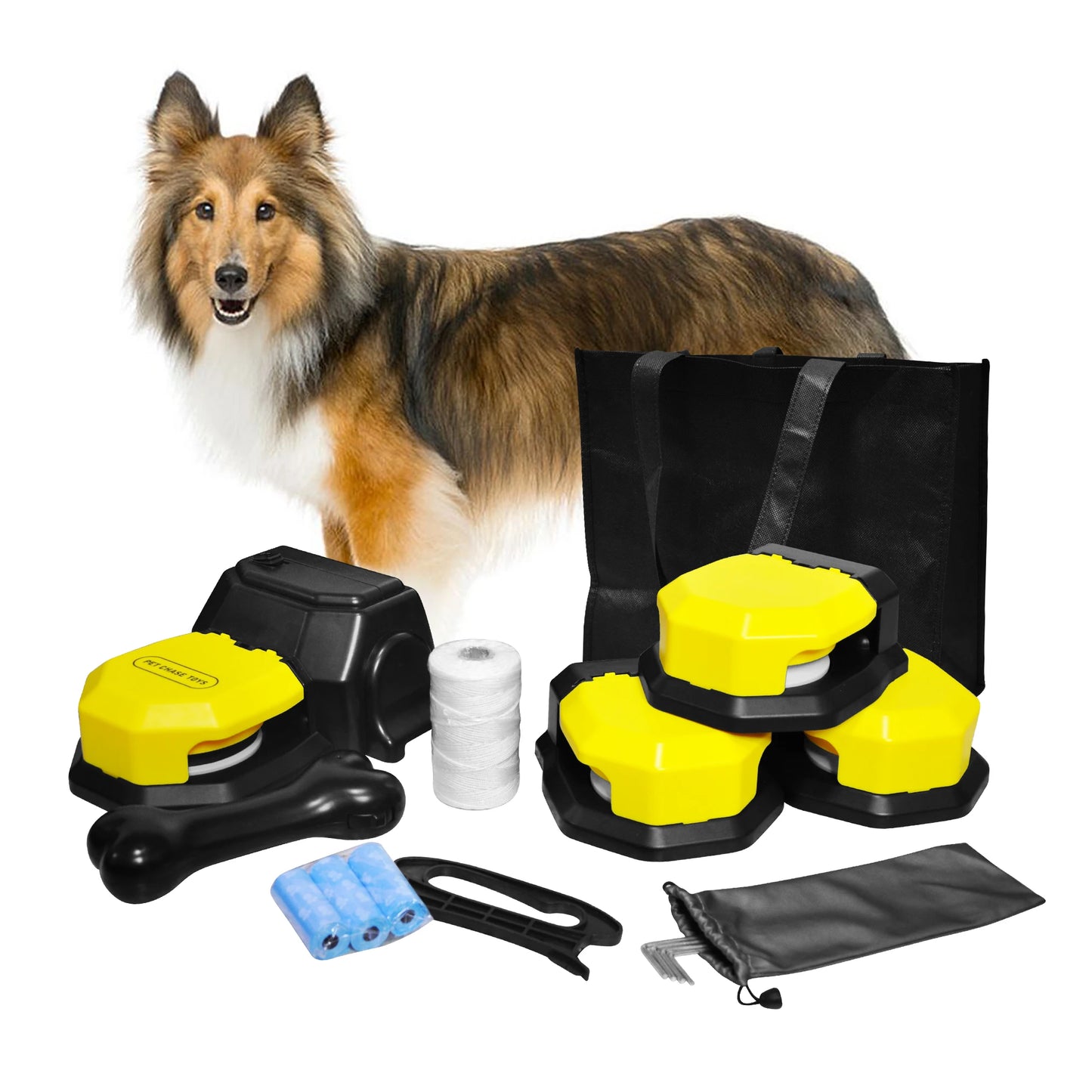 Remote Controlled Backyard Chase Course for Happy Dogs