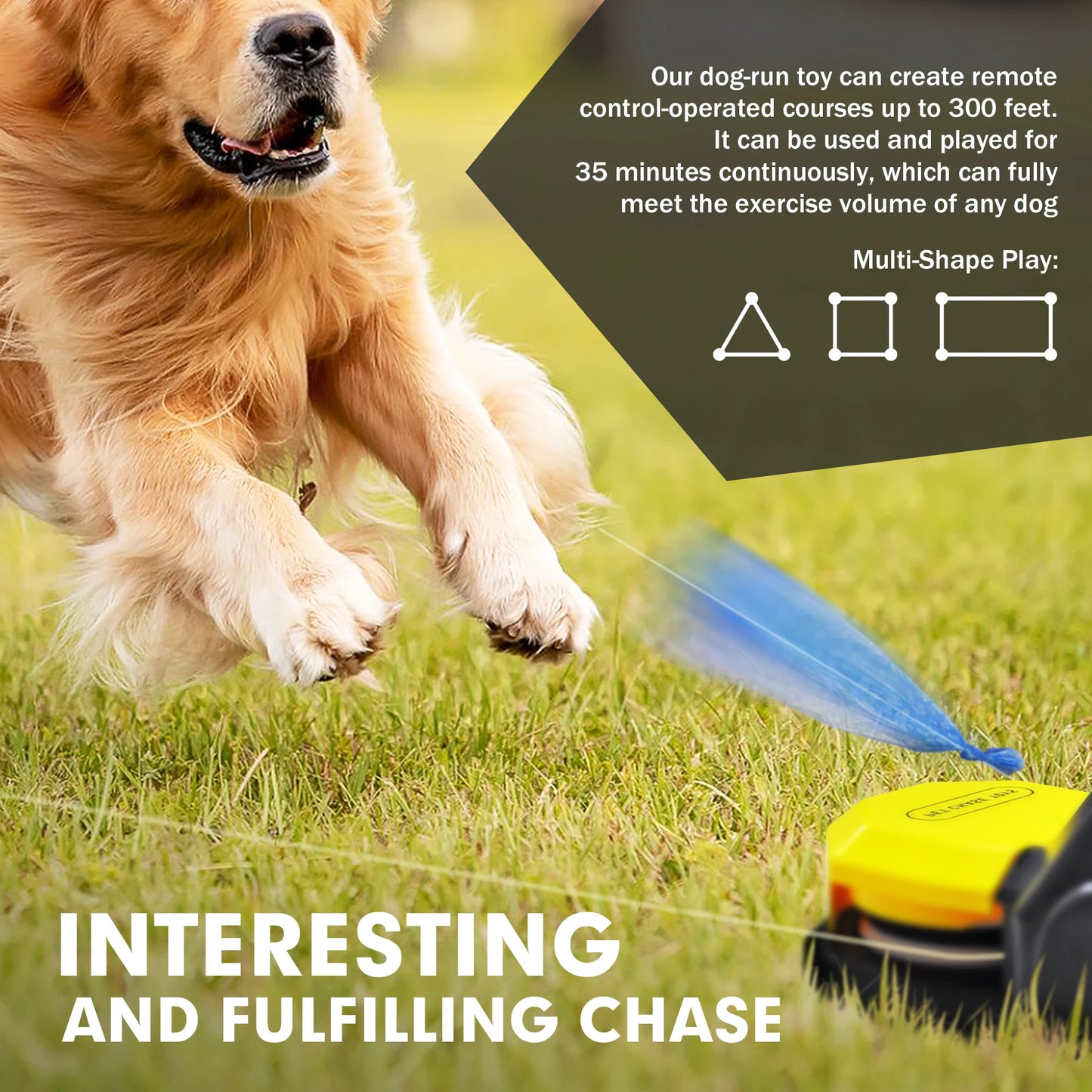 Remote Controlled Backyard Chase Course for Happy Dogs